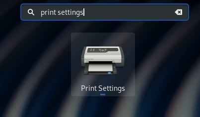 Run Print Settings