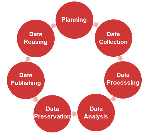 Research data lifecycle